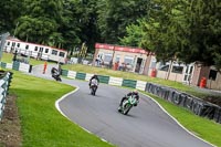cadwell-no-limits-trackday;cadwell-park;cadwell-park-photographs;cadwell-trackday-photographs;enduro-digital-images;event-digital-images;eventdigitalimages;no-limits-trackdays;peter-wileman-photography;racing-digital-images;trackday-digital-images;trackday-photos